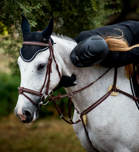 AREZZO 5 Points Breastplate