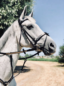 HICKSTEAD Bridle