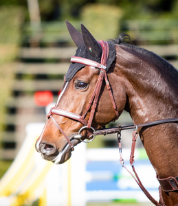 AACHEN Bridle