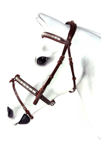 HICKSTEAD Bridle