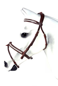 OLYMPIA Bridle