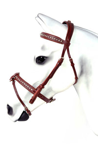 AREZZO Bridle